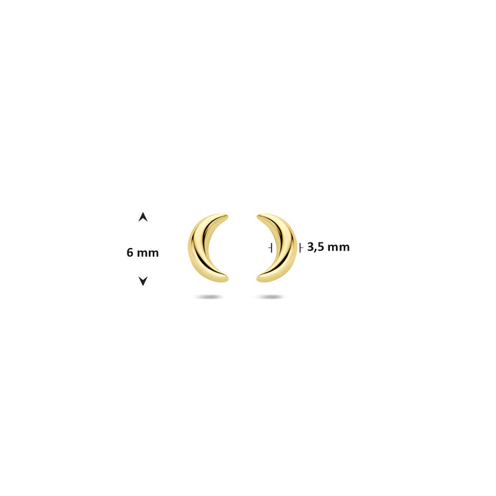Een paar Van der Kooij Collectie oorknoppen maan 6 mm 14K geelgoud staan naast elkaar op een witte achtergrond. Pijlen en afmetingen laten zien dat deze halvemaanvormige damesoorbellen 6 mm hoog en 3,5 mm breed zijn.
