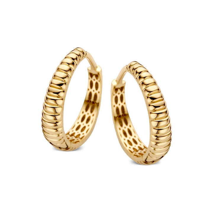 De Geelgouden Oorringen met Geribbeld Design van Excellent Jewelry hebben een geribbelde, gestructureerde buitenkant en kleine ronde uitsparingen aan de binnenkant, tegen een witte achtergrond - een tijdloos sieraad van Van der Kooij.
