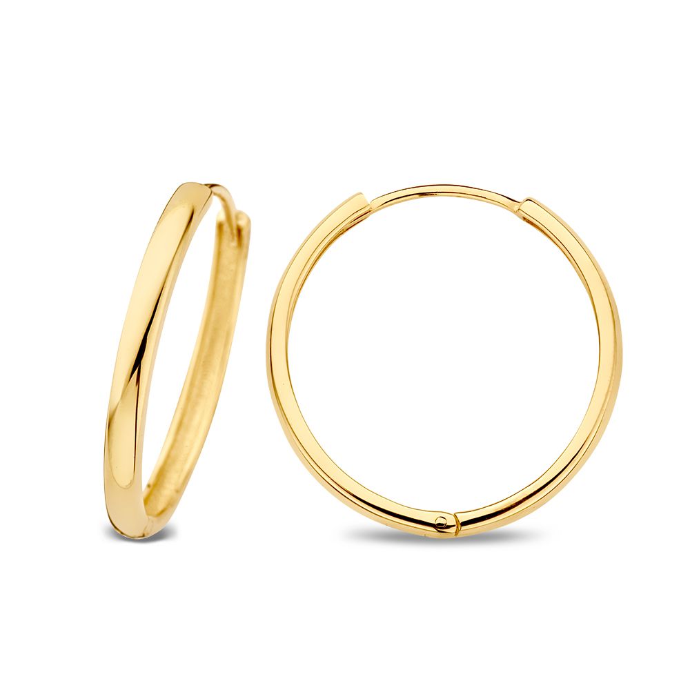 Aros de oro amarillo con bisagra – 14 quilates de oro – Van der Kooij