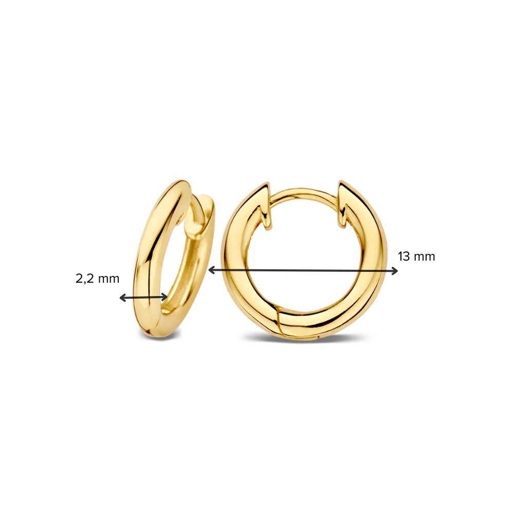 Aros de oro amarillo – 14 quilates de oro | Van der Kooij