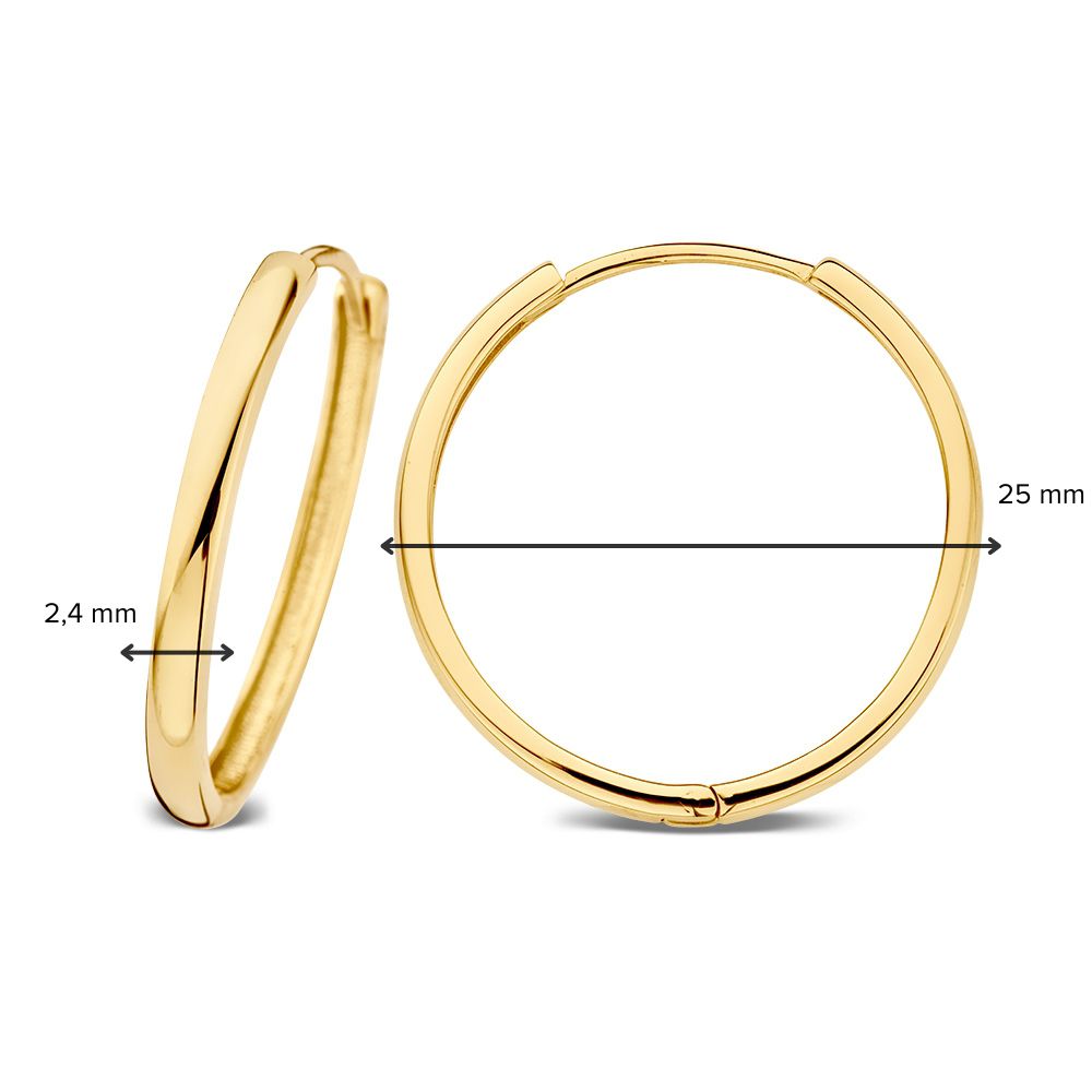 Aros de oro amarillo con bisagra – 14 quilates de oro – Van der Kooij