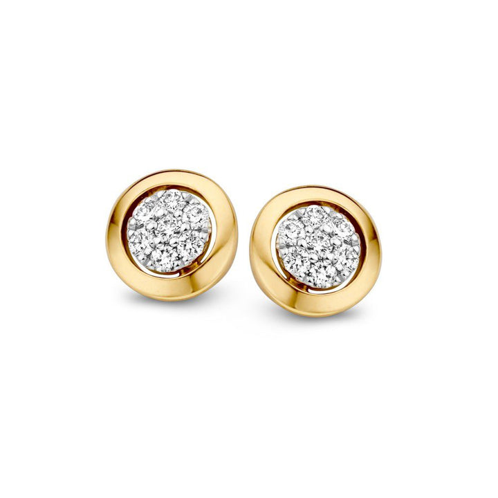 14 Karaat Bicolor Gouden Oorstekers met Diamant - 0,14 crt Briljant