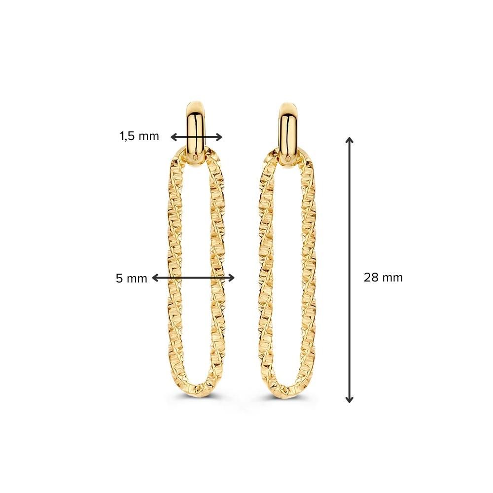 Geelgouden Oorhangers met Bewerkte Paperclip Schakel in 14 Karaat Goud