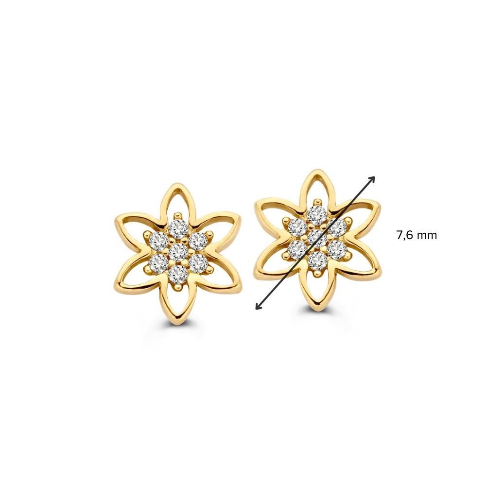 Pendientes de oro amarillo con circonitas | 14 quilates de oro | Van der Kooij