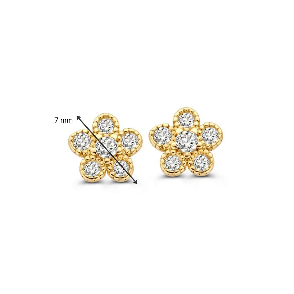 Pendientes de oro amarillo con circonitas | 14 quilates de oro | Van der Kooij