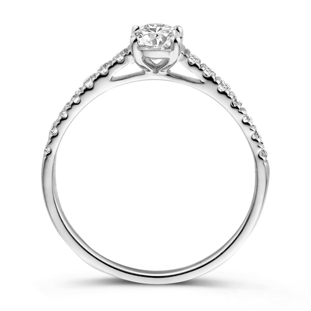 Anillo Franky Royal 0,48 crt. oro blanco