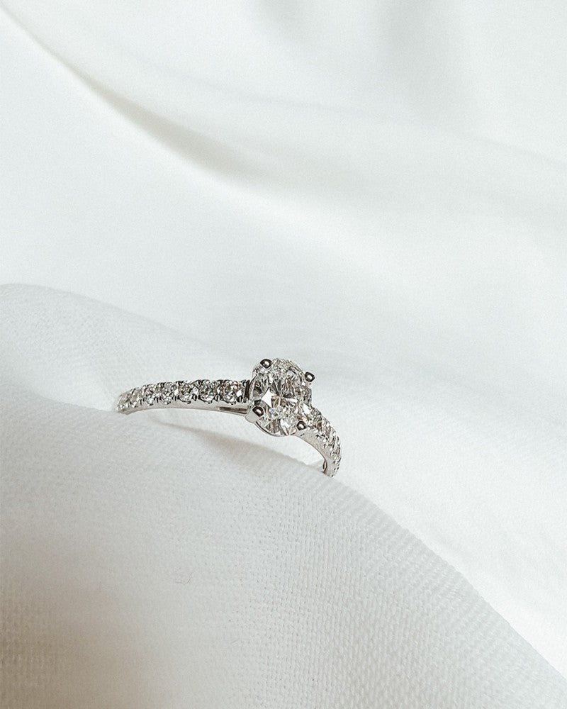 Anillo Franky Royal 0,75 crt. oro blanco