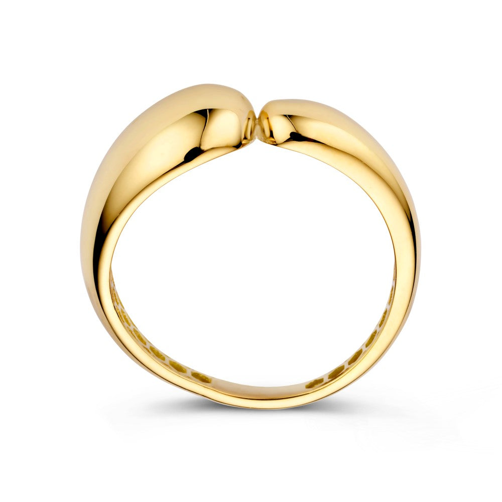 Anillo oro amarillo