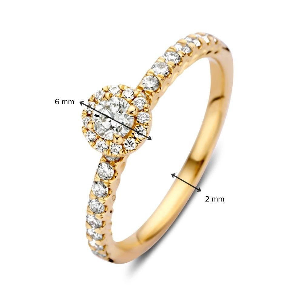 Espléndido Anillo de Oro Amarillo con Diamantes y Brillante en Montura de Entourage – 14 Quilates 0.50 crt.