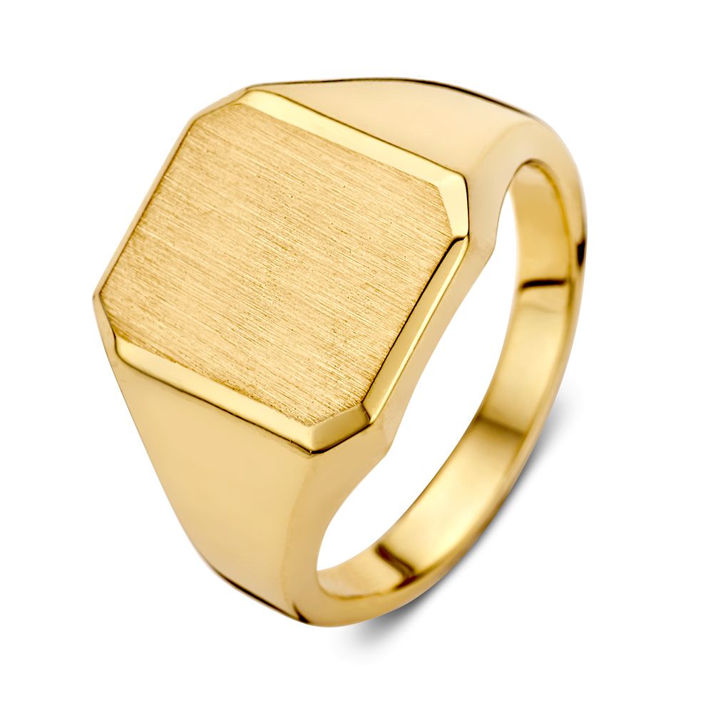 Anillo de sello de oro amarillo de 14 quilates con diseño lujoso y atemporal.