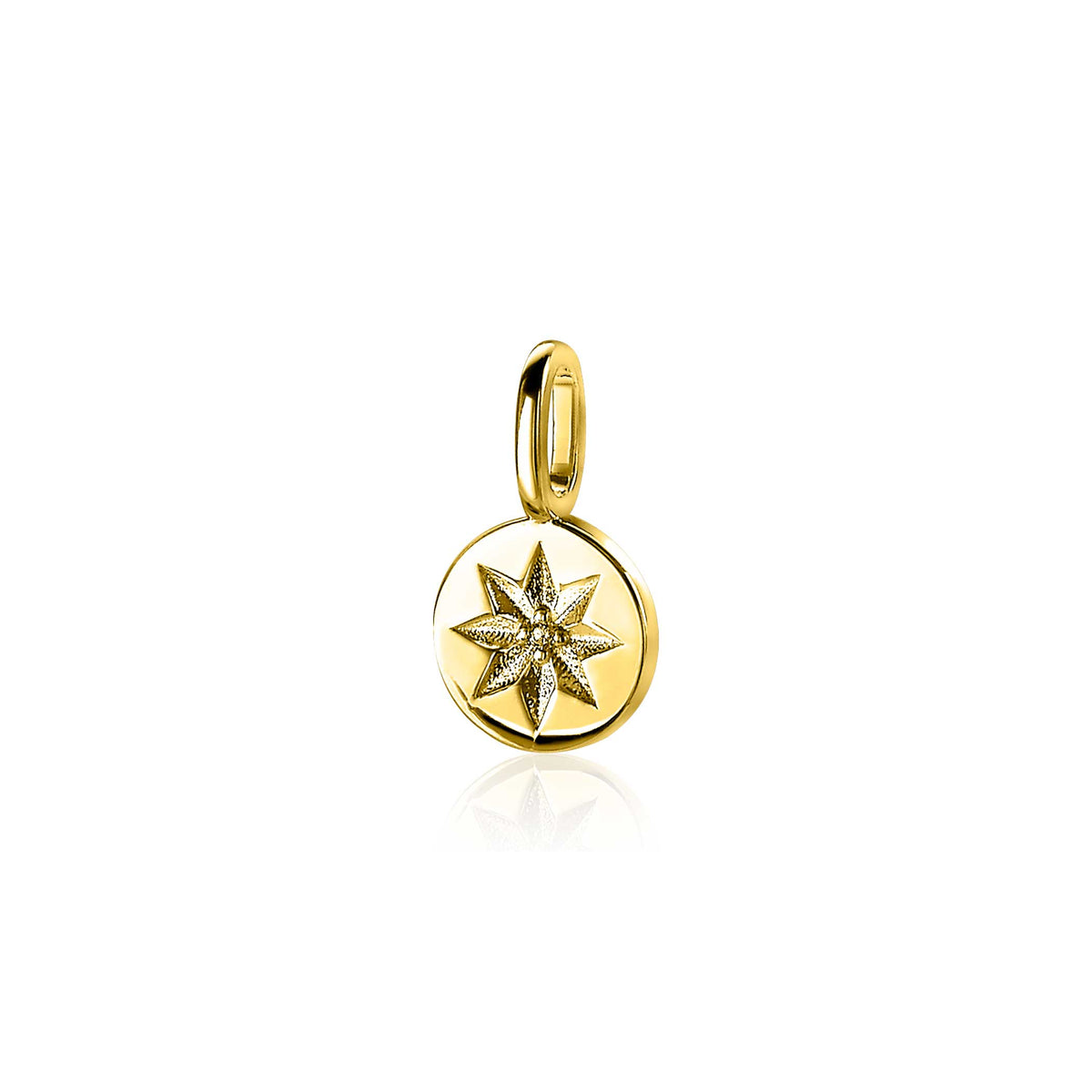 Colgante dorado con diseño de estrella y detalles brillantes.