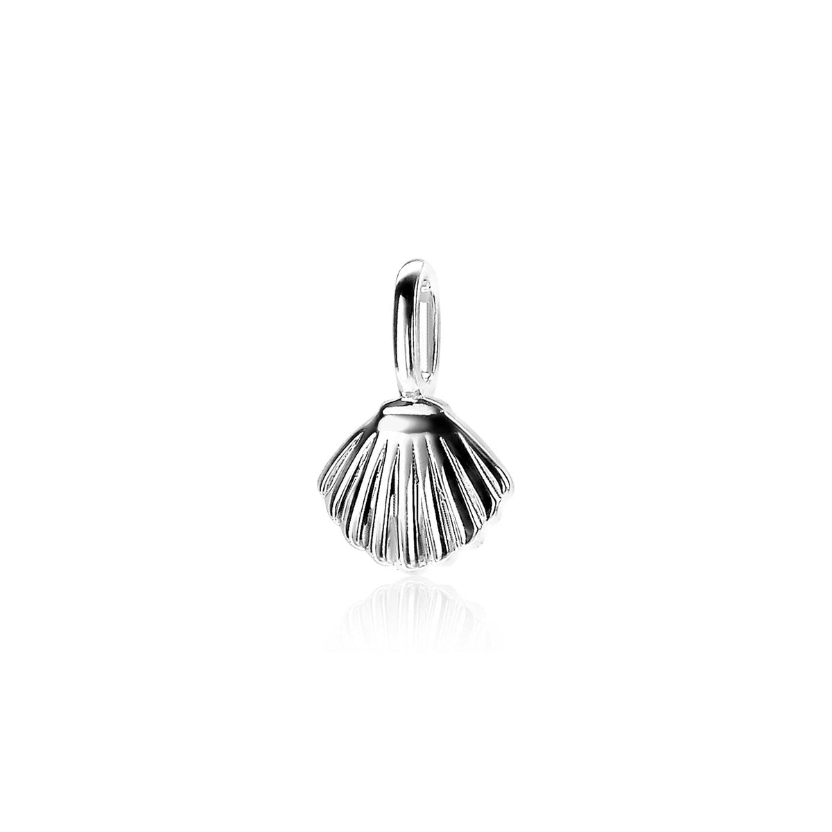 Colgante de plata con forma de concha, con detalles estriados en la superficie.