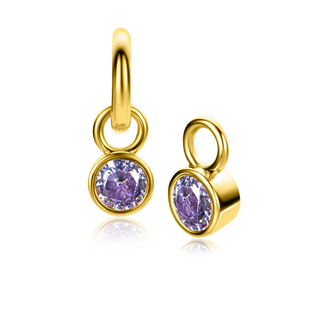Zinzi Oorbellen Gold Plated Zich Jun