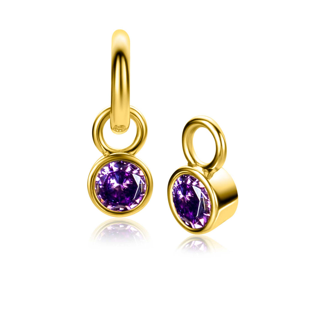 Zinzi Oorbellen Gold Plated Zich Feb