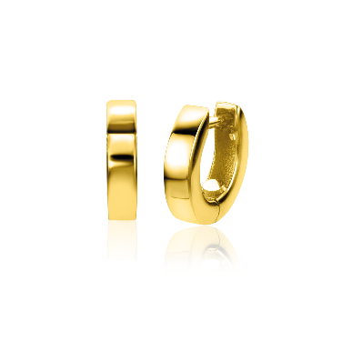 Zinzi Oorbellen Goud Zgo303