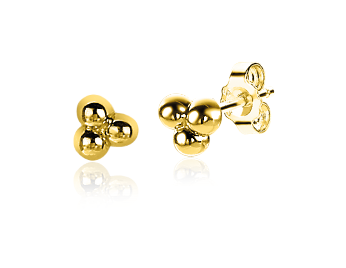 Zinzi Oorbellen Gold Plated Zio2169 G